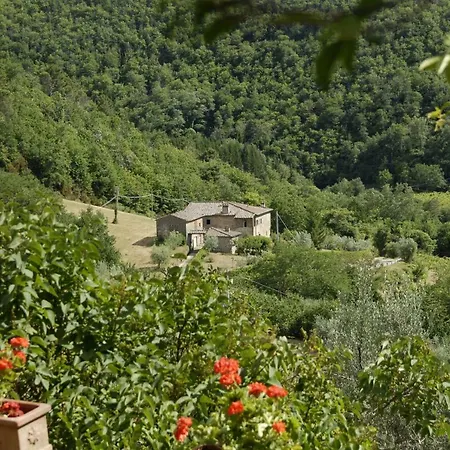 Chianti Mariuccia
